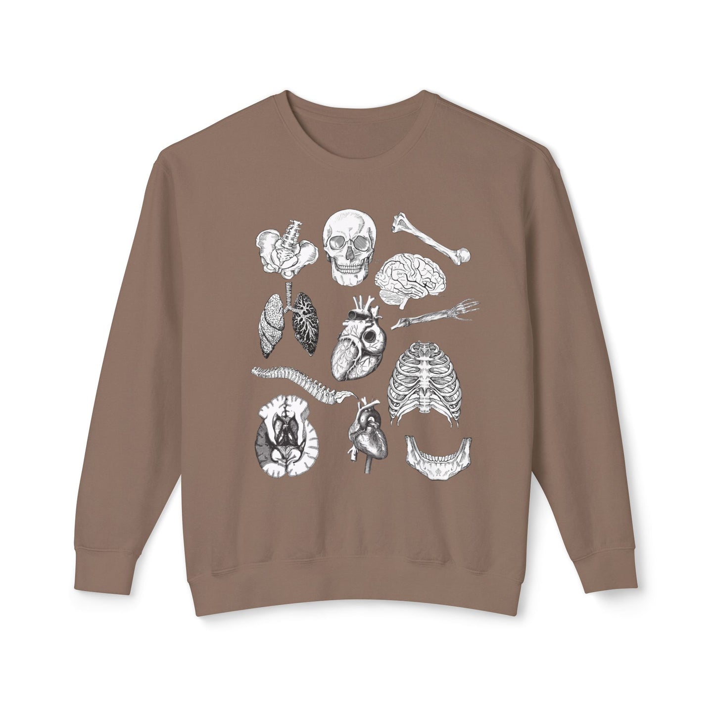 Anatomy- Lightweight Comfort Colors Crewneck Sweatshirt