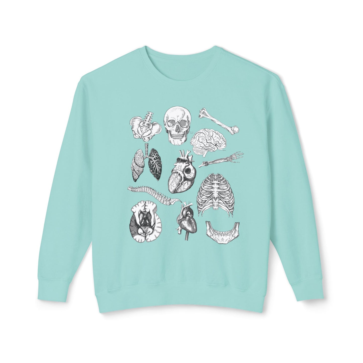 Anatomy- Lightweight Comfort Colors Crewneck Sweatshirt