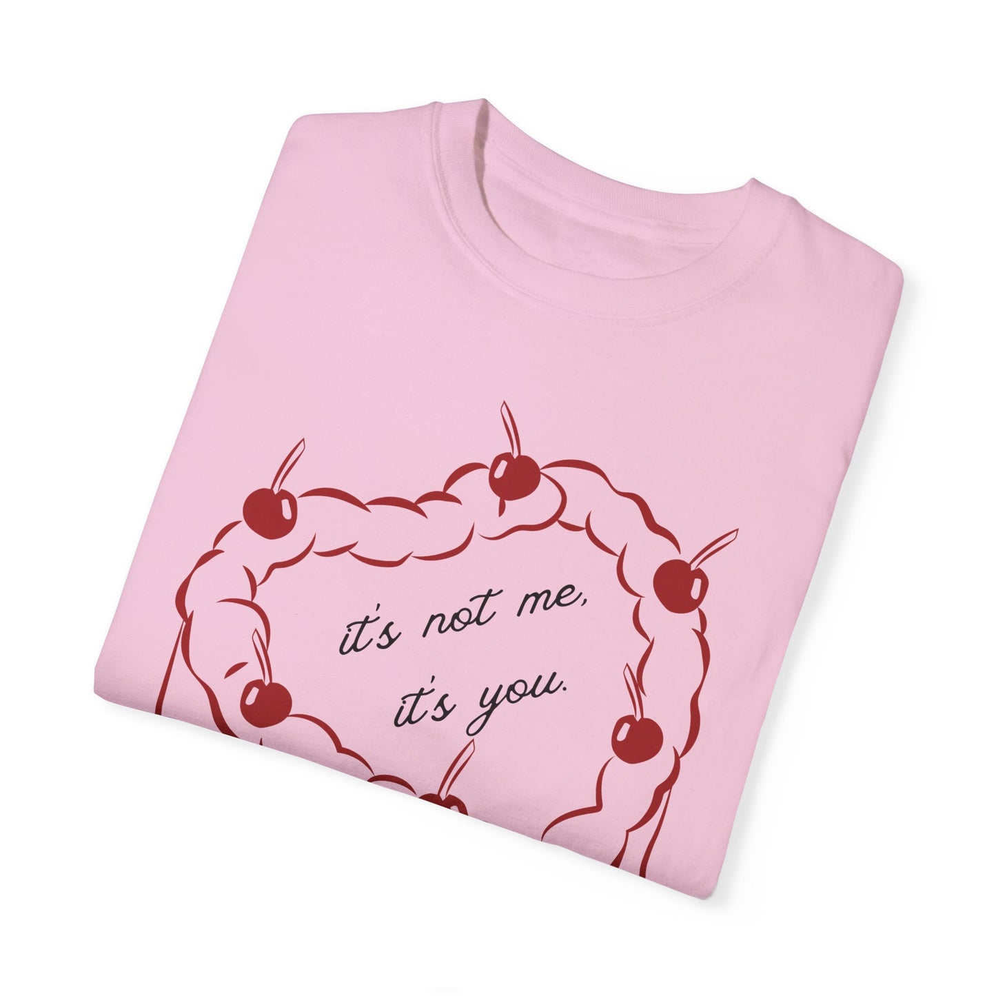 Its Not Me, Its You -Comfort Colors T-shirt