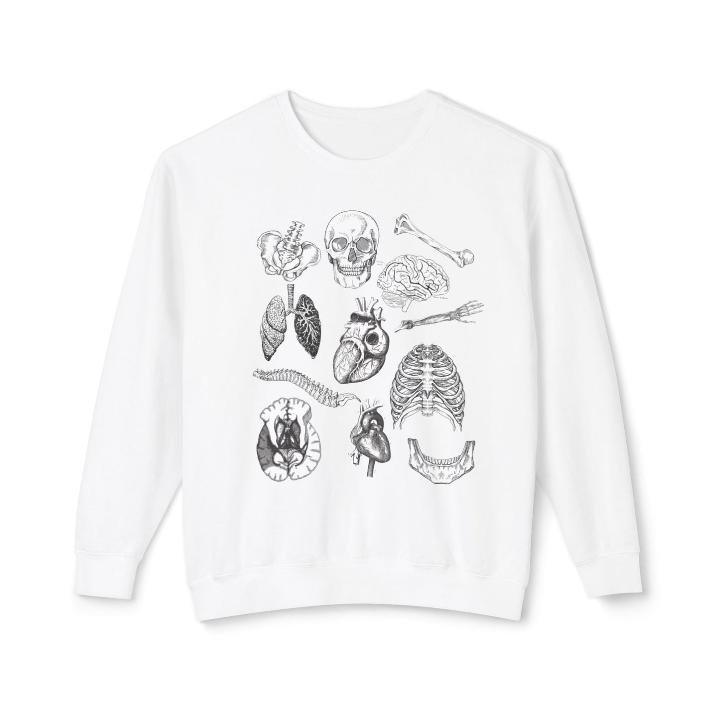 Anatomy- Lightweight Comfort Colors Crewneck Sweatshirt