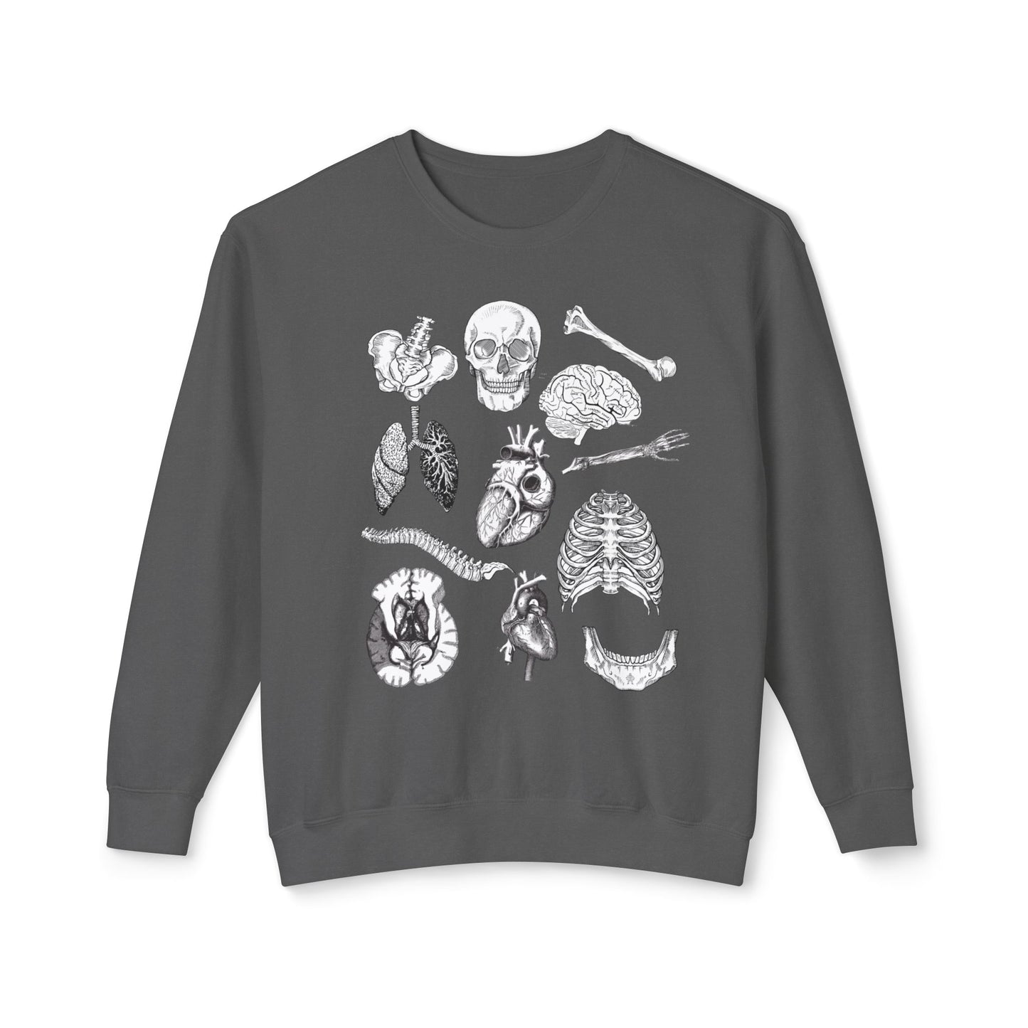 Anatomy- Lightweight Comfort Colors Crewneck Sweatshirt