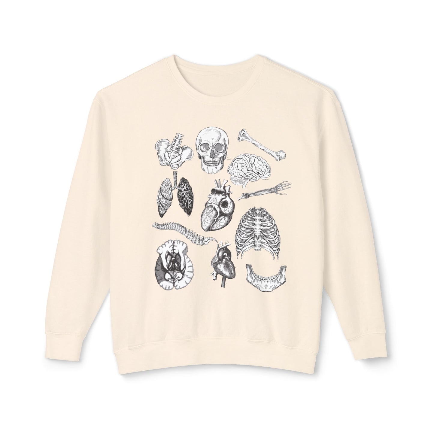 Anatomy- Lightweight Comfort Colors Crewneck Sweatshirt