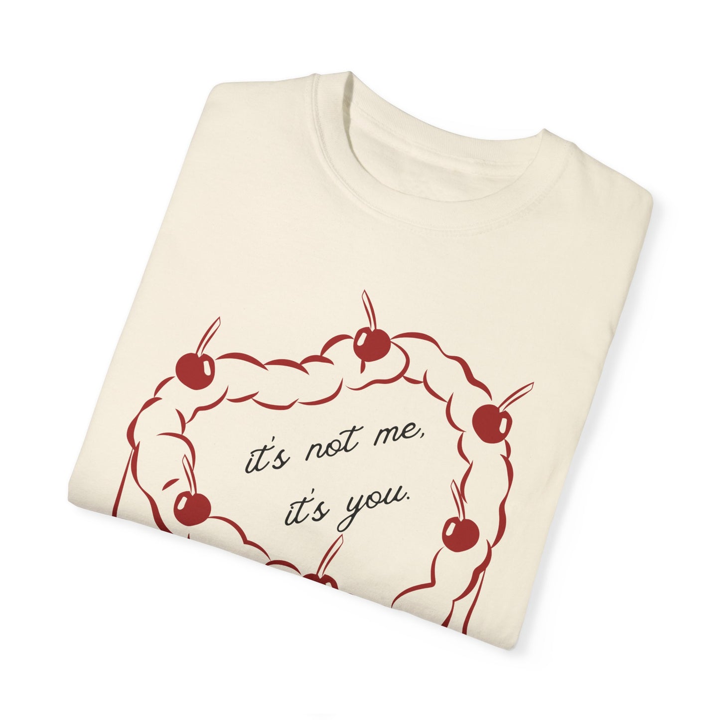 Its Not Me, Its You -Comfort Colors T-shirt