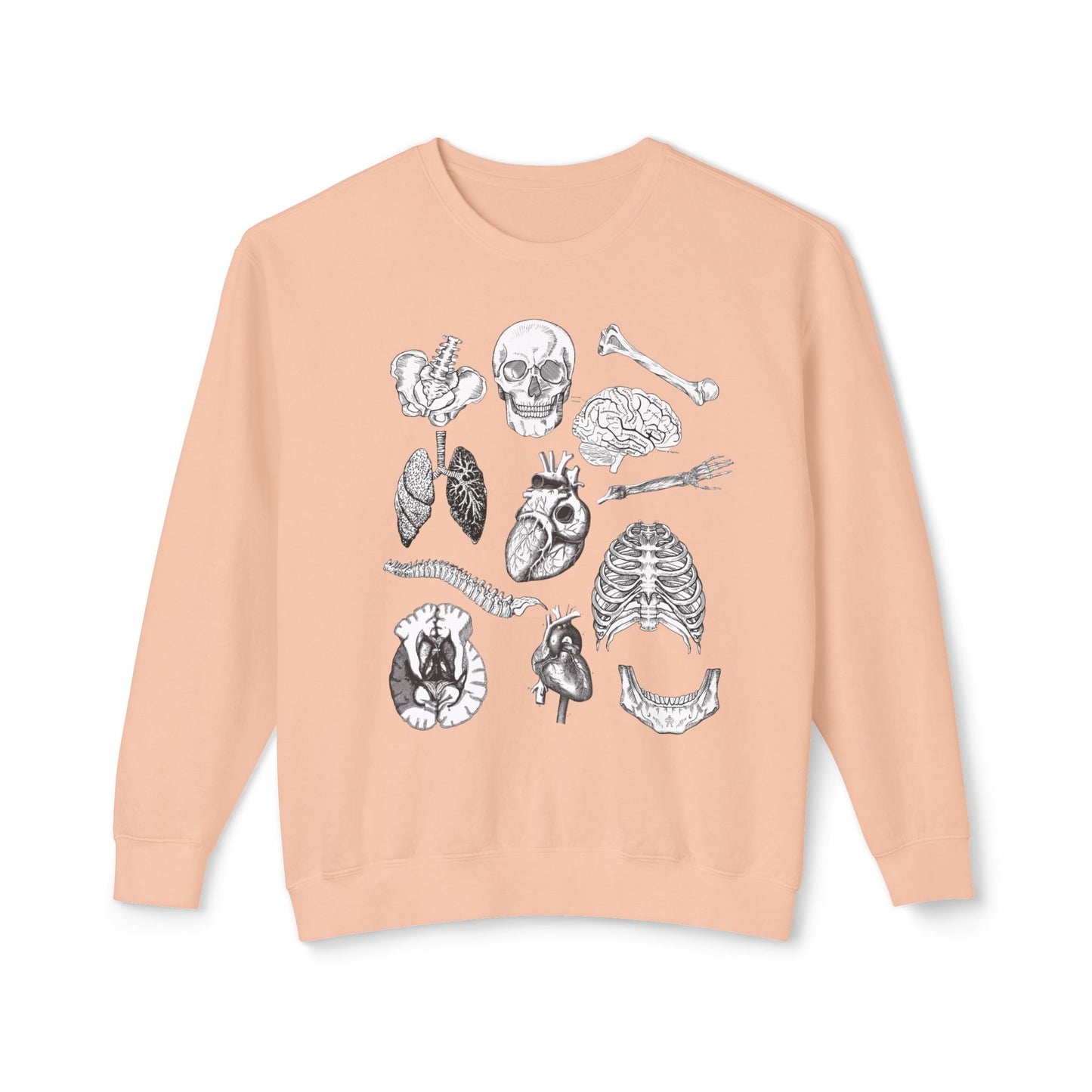 Anatomy- Lightweight Comfort Colors Crewneck Sweatshirt