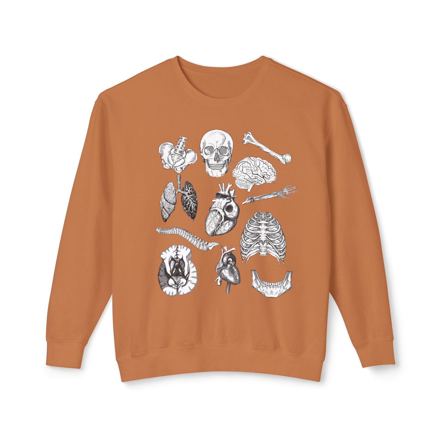 Anatomy- Lightweight Comfort Colors Crewneck Sweatshirt