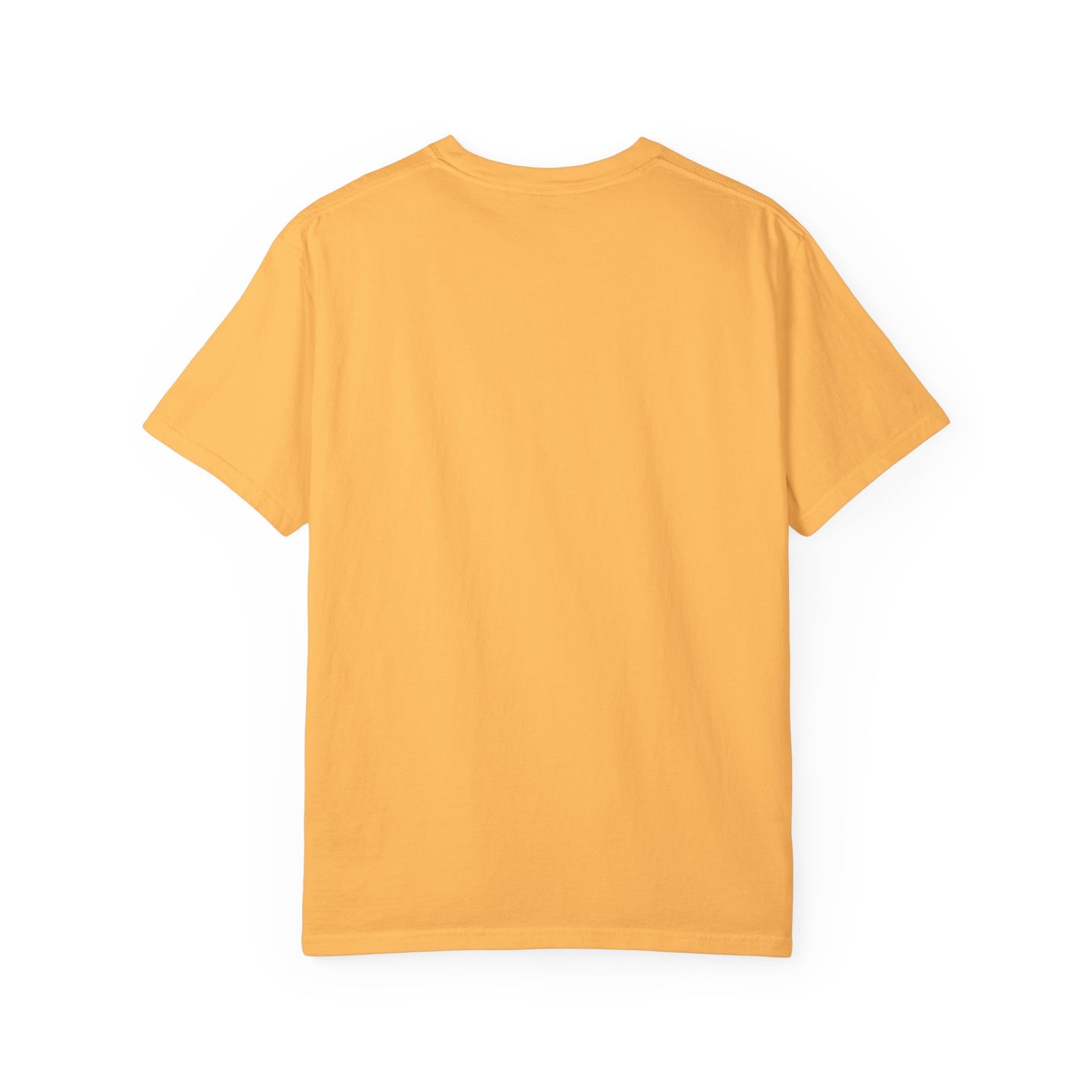 Pittsburgh Steelers- Comfort Colors T-shirt