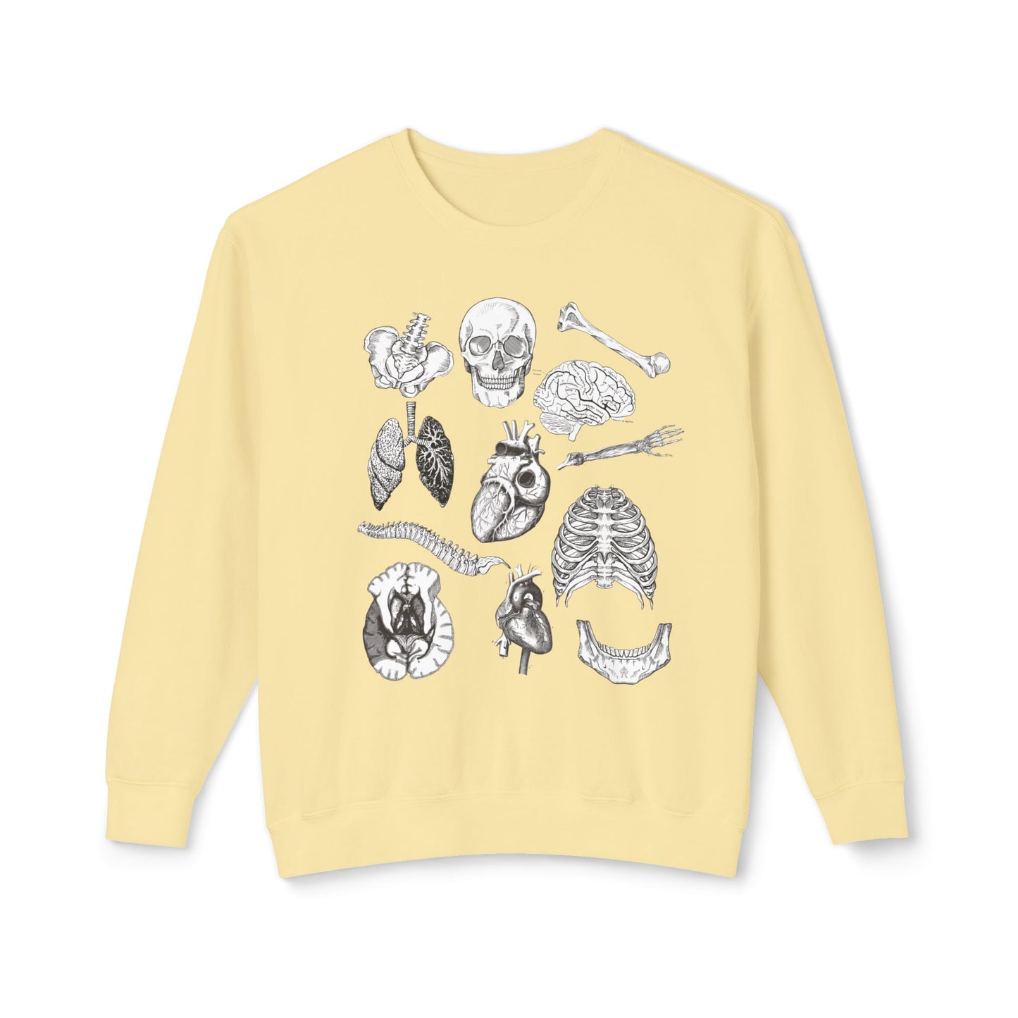 Anatomy- Lightweight Comfort Colors Crewneck Sweatshirt