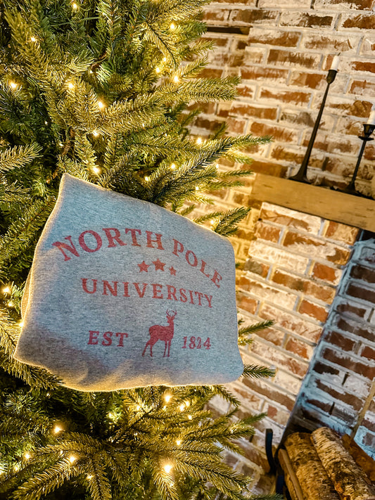 north pole university