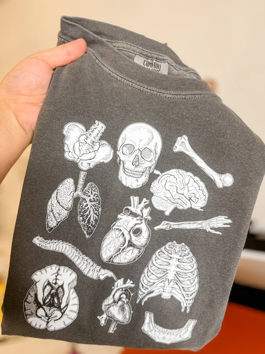 anatomy tshirt